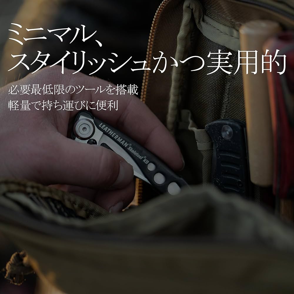 Amazon | LEATHERMAN (レザーマン) マルチツール SKELETOOL CX